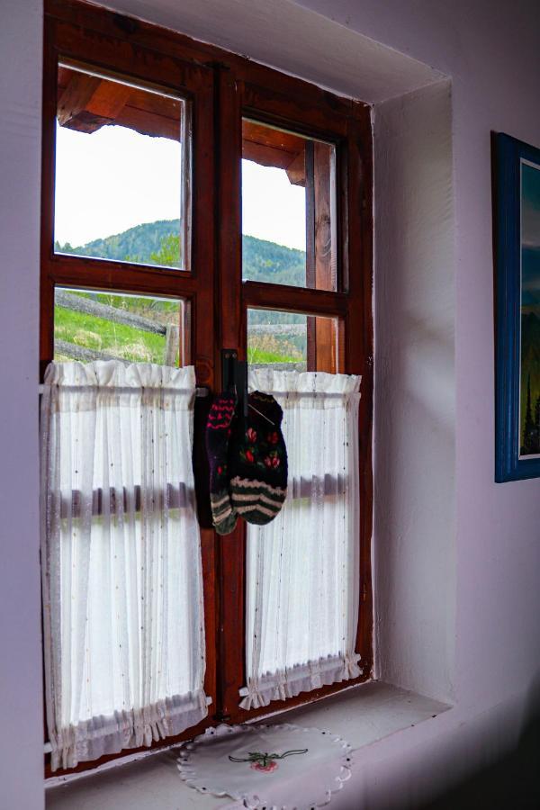 Apartment "Planinsko Selo" Zaovine Extérieur photo